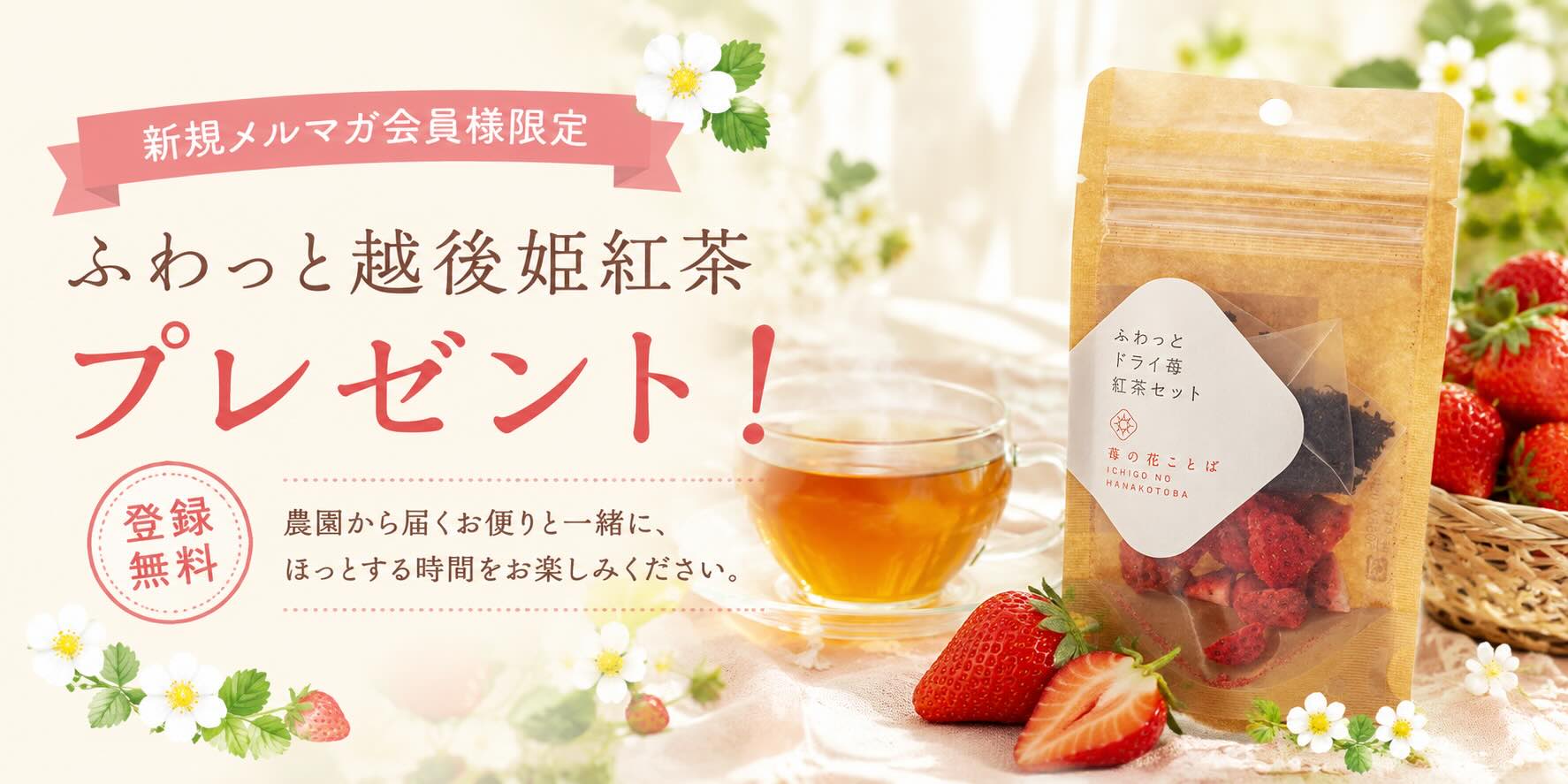 新規メルマガ会員様限定、ふわっと越後姫紅茶プレゼント