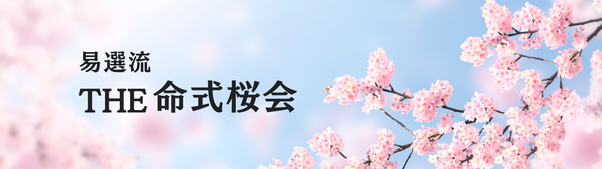 桜会 ヘッダー画像