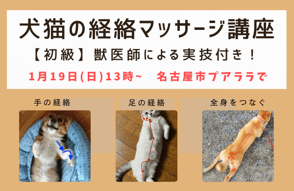 名古屋犬猫の経絡マッサージ講座バナー