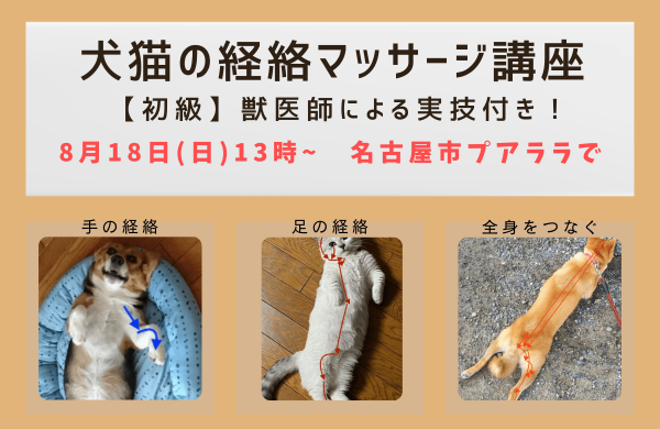 犬猫の経絡マッサージ講座 in 名古屋 初級バナー