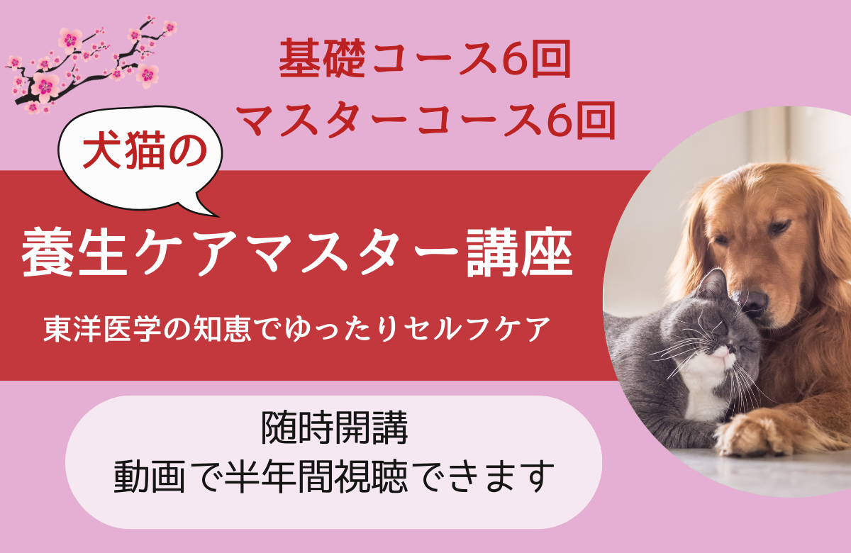 養生ケアマスター講座バナー